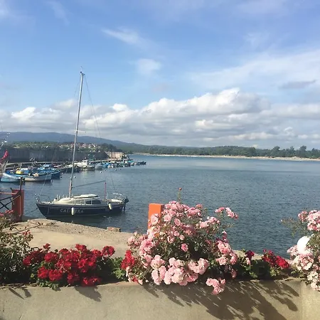 Marina 3*